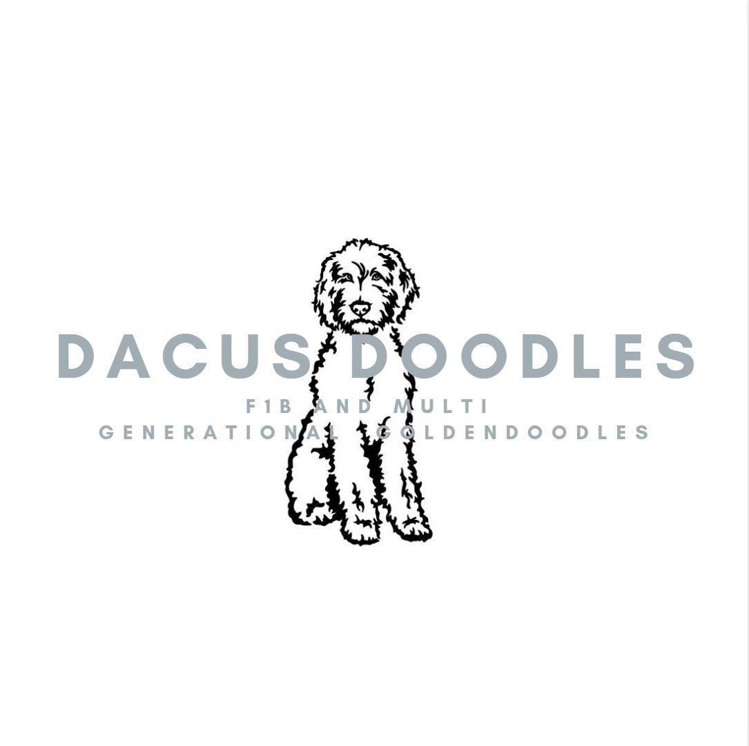 Dacus Doodles Logo
