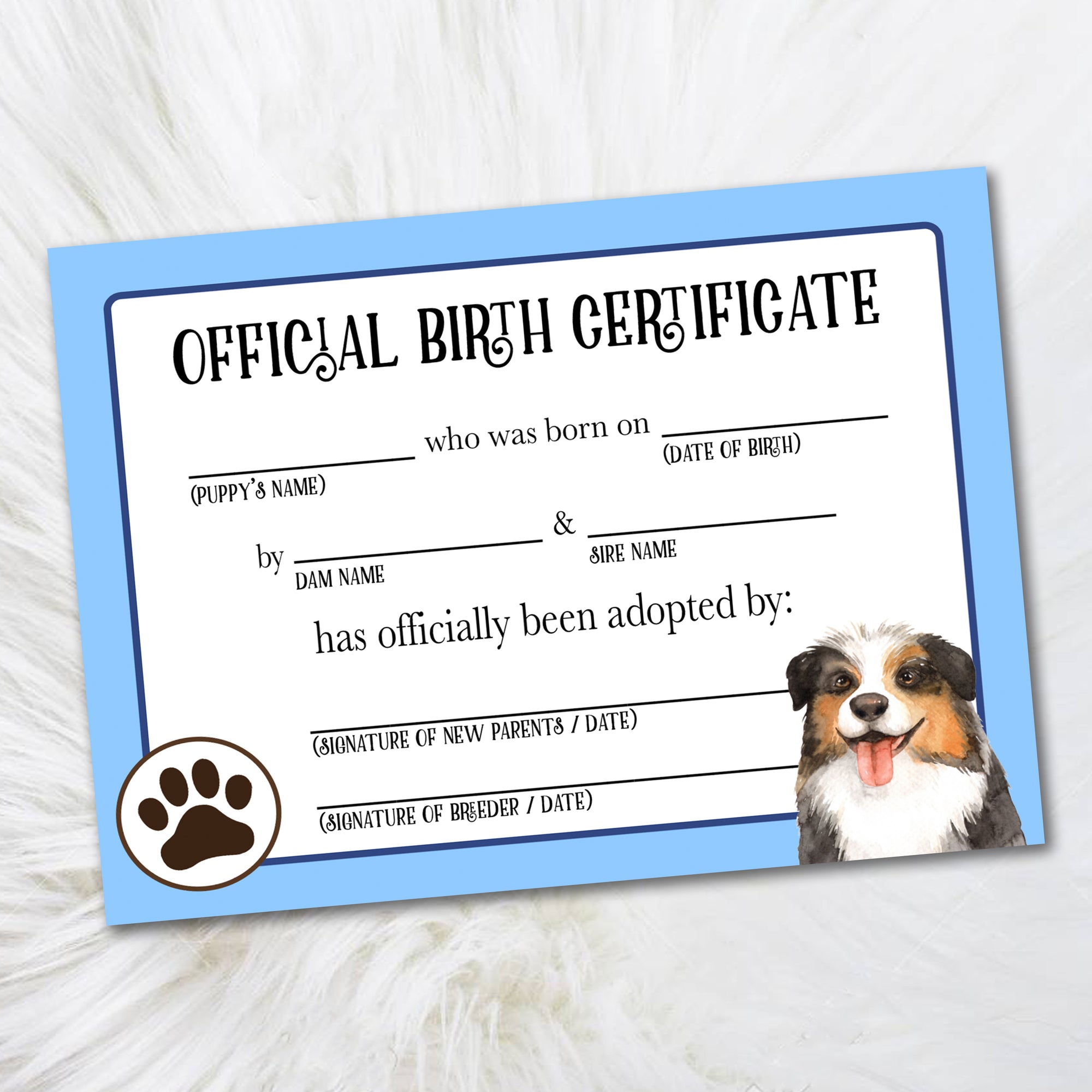 Blue Australian Shepherd Birth Certificate Dog Certificates
