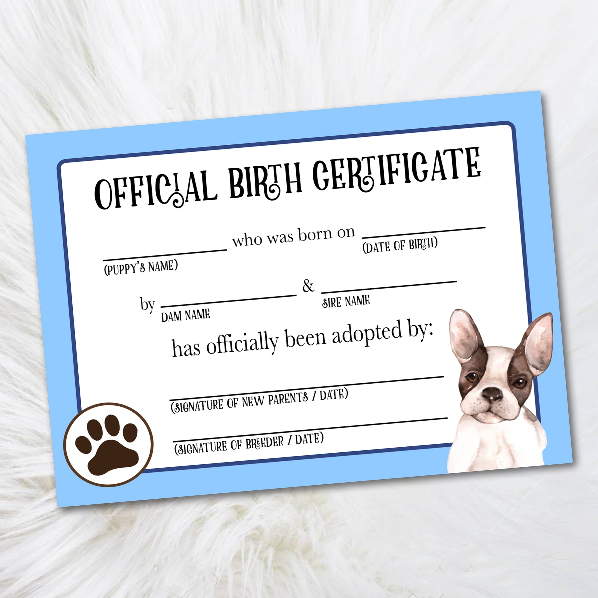 Boston terrier adoption certificate, puppy birth certificate from dog breeder