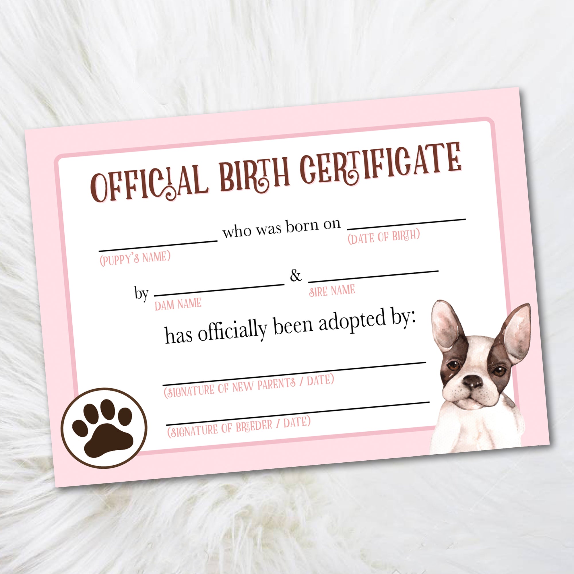 Printable Boston Terrier Birth Certificate, Puppy Adoption Certificate - LillyBellePaperie printable-boston-terrier-birth-certificate-puppy-adoption-certificate-lillybellepaperie