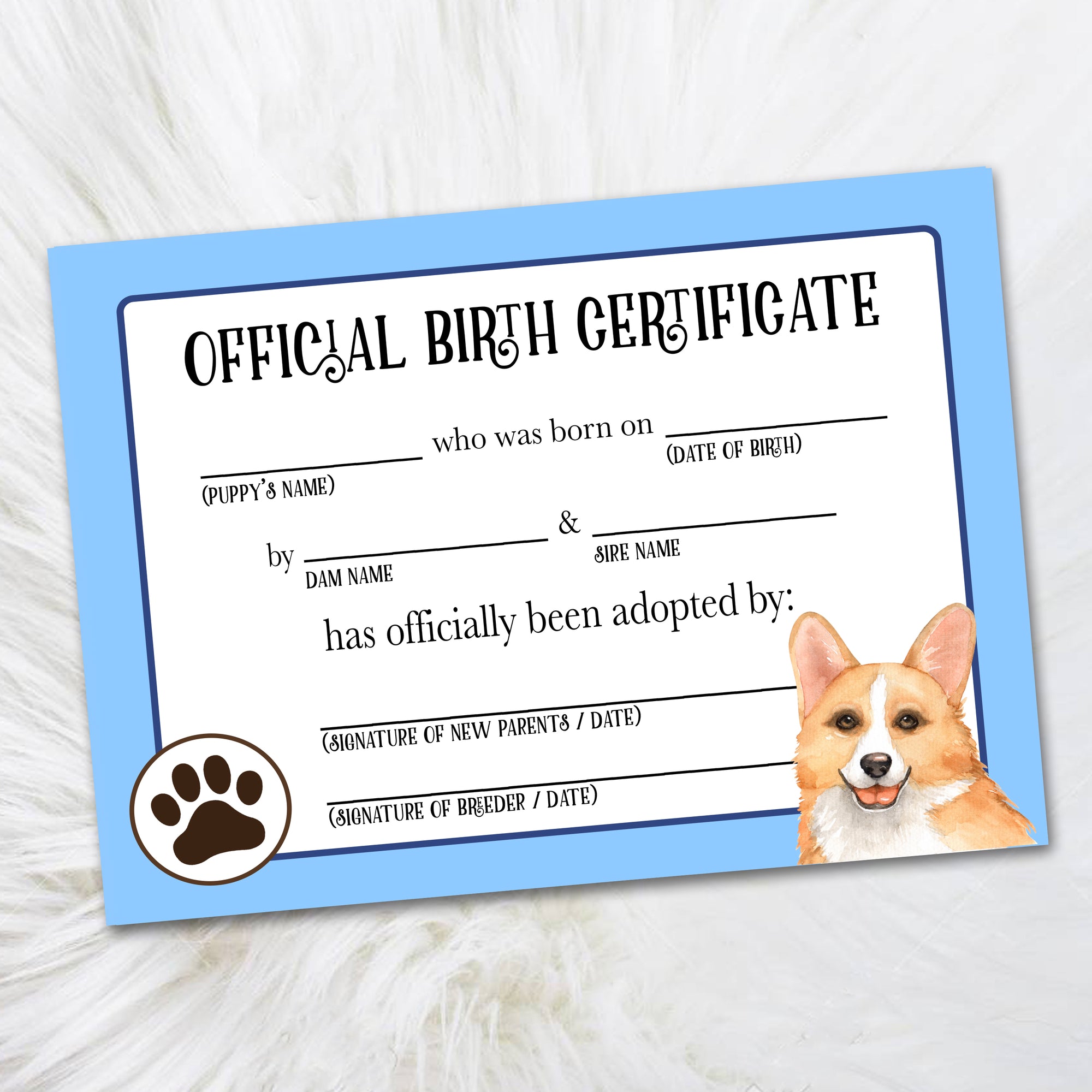 Baby Blue Corgi Puppy Adoption Certificate