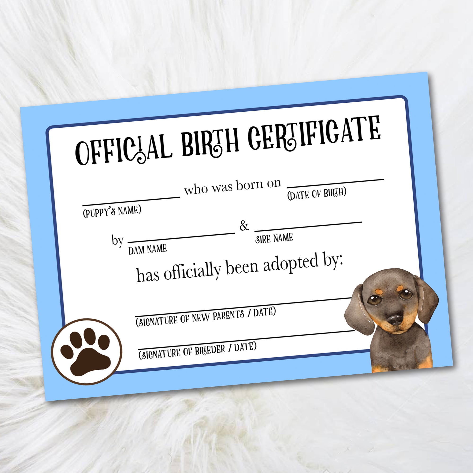Printable Dachshund Adoption Certificate from Dog Breeders
