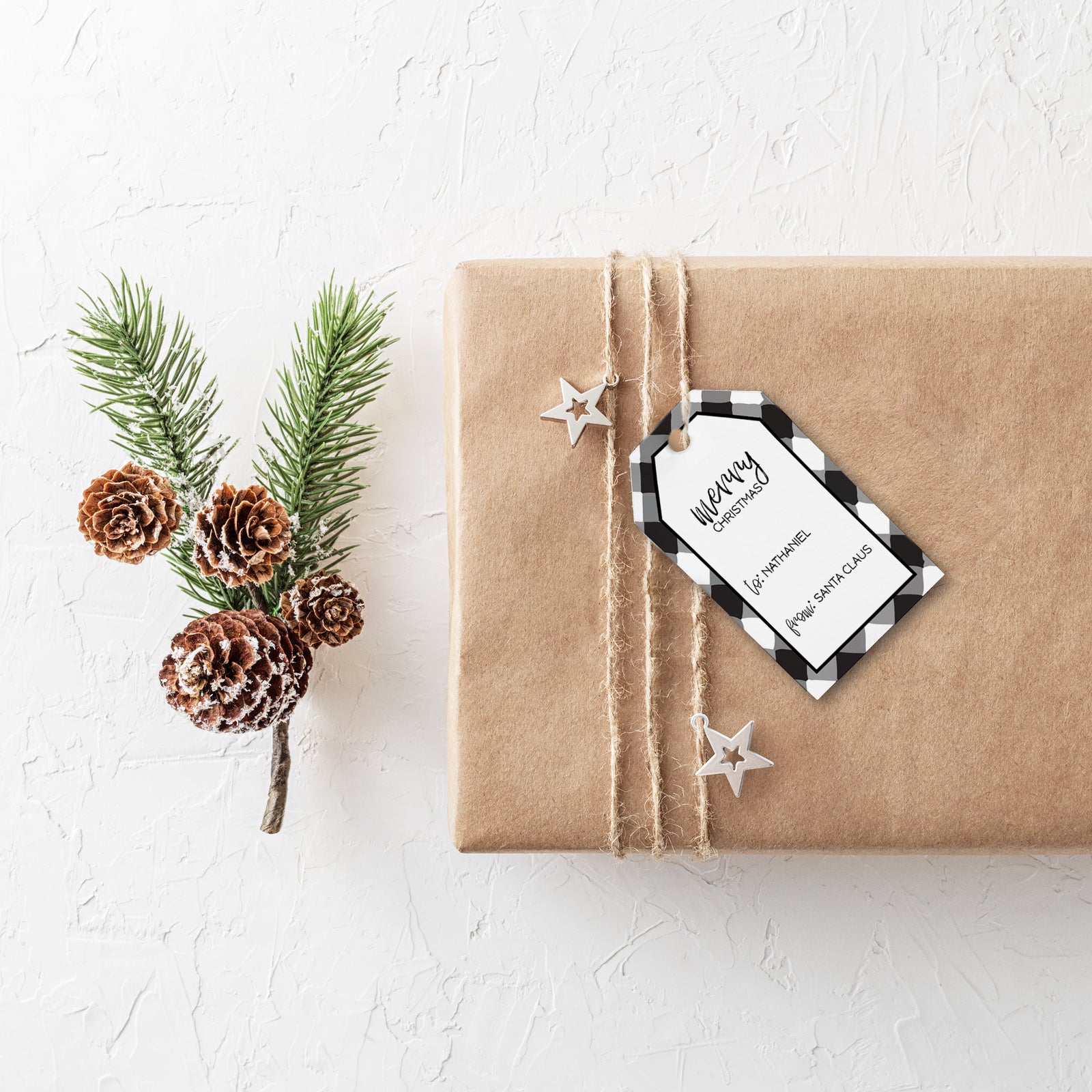 Editable Christmas To/From Santa Tags