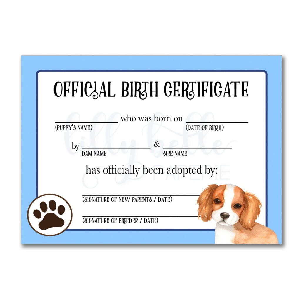 Blue Cavalier King Charles Spaniel Birth Certificate Dog Certificates